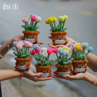  Chậu hoa tulip kẽm nhung mini cầm thẻ lời chúc lời nhắn Mua Tất  muatat.shop  