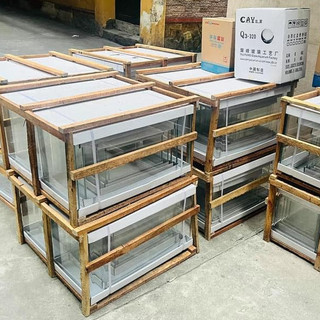 Bể đúc thường 50 - Bể kính nguyên khối, thích hợp nuôi cá cảnh, thủy sinh mini, kính dễ vệ sinh