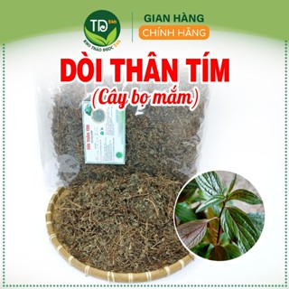 Cây dòi thân tím (bọ dòi tím, bọ mắm khô), sạch khô, hỗ trợ giảm ho, giảm viêm đau họng, ngừa lao phổi, ho lao