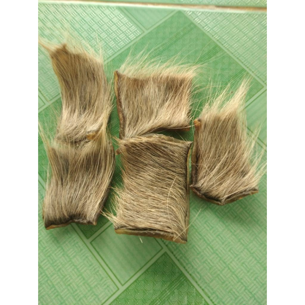 5 miếng da trâu khô (có Lông ) 4 cm vuông  bỏ bóp cầu tài cầu lộc