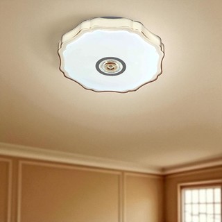 Đèn ốp trần 79 Lighting đèn led gắn trần trang trí decor nội thất C903 ánh sáng trắng