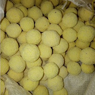 Sứ viên bi vàng 1 kg - Vật liệu lọc nước bể cá