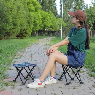 Ghế họa tiết lá xanh gấp gọn thích hợp cho các buổi dã ngoại cắm trại câu cá ngồi tàu và phác họa nghệ thuật 