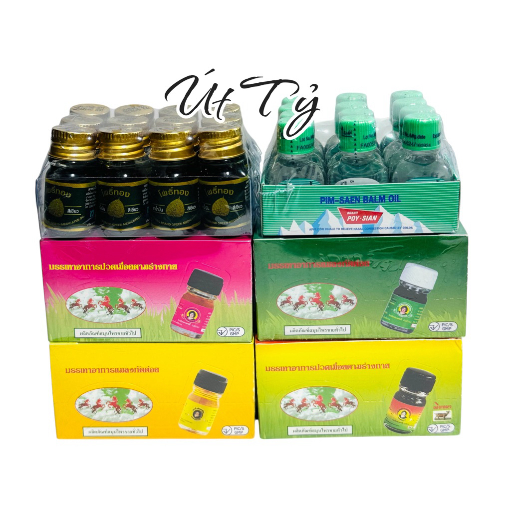 12 CHAI DẦU BÀ MẬP THÁI LAN