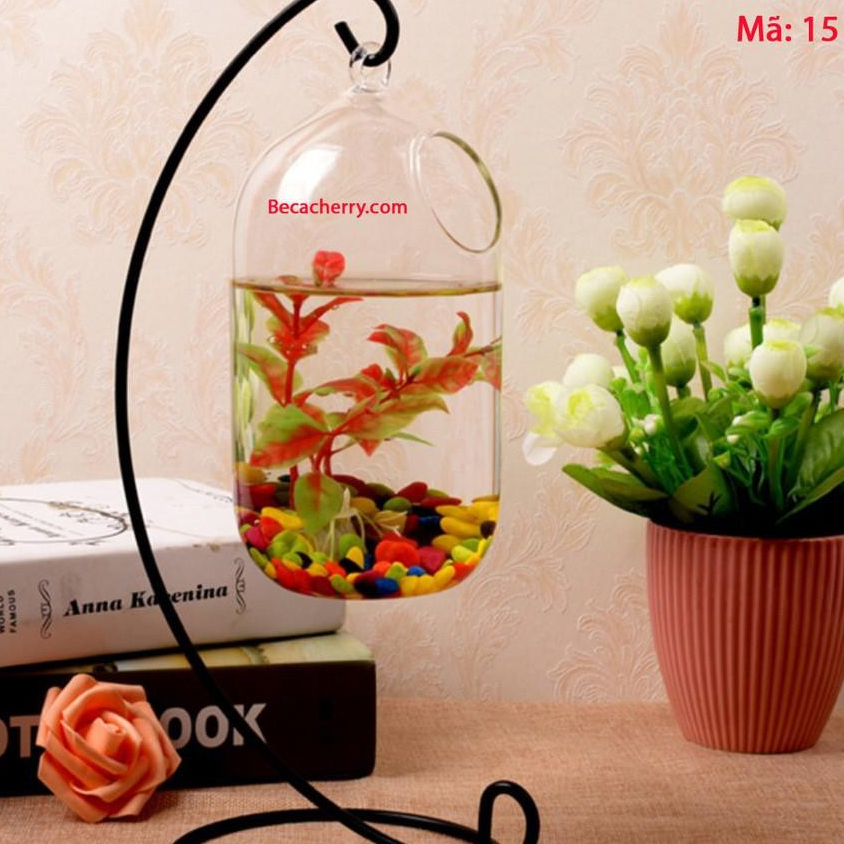 Bể cá mini C33 15 ( Tặng kèm combo phụ kiện trang trí )