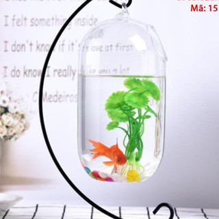 Bể cá mini C33 15 ( Tặng kèm combo phụ kiện trang trí )