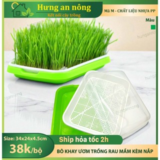 KAM – khay nhựa kèm nắp trồng rau mầm thủy canh 2 lớp – size 34x25x4.5cm