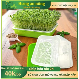 KAL – Bộ khay nhựa sâu lòng trồng rau mầm kèm nắp đậy giữ ẩm - tái sử dụng