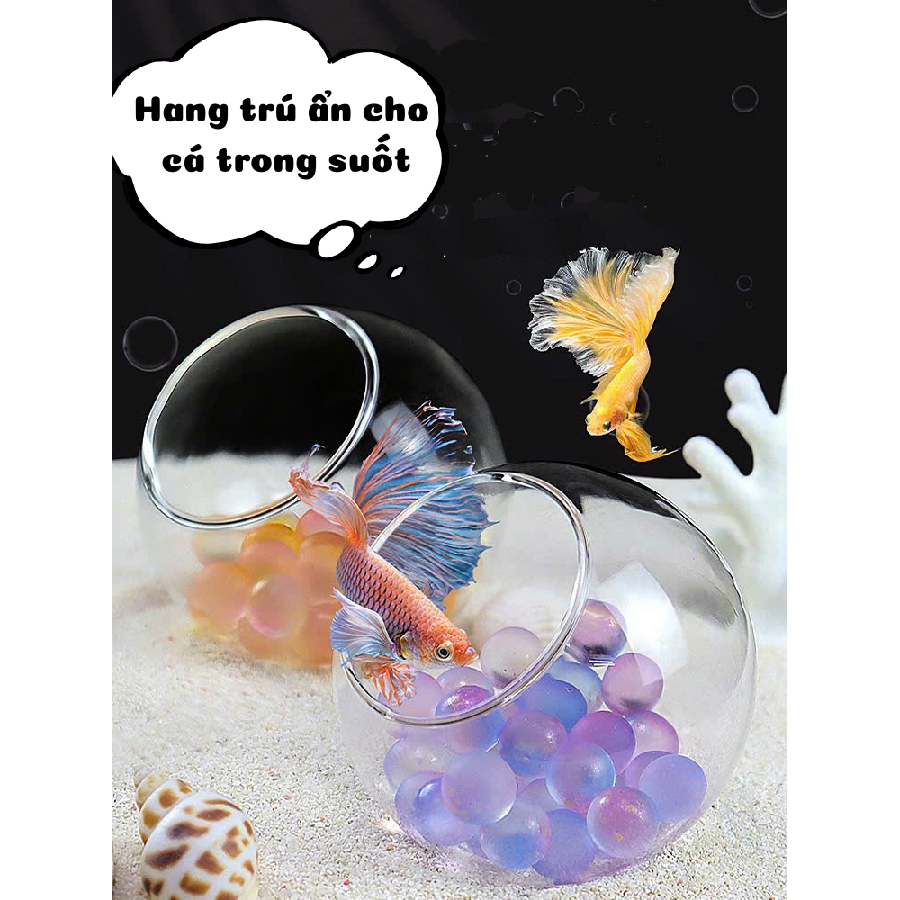 Hang trú ẩn cho cá trong suốt. Hang trú ngụ cho cá cảnh, tép, tôm cảnh.