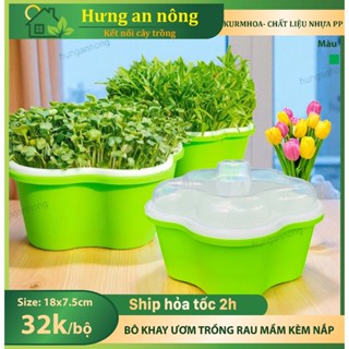 kurmhoa – khay trồng rau mầm thủy canh tròn kèm nắp – nhựa pp nguyên sinh – đường kính 18cm