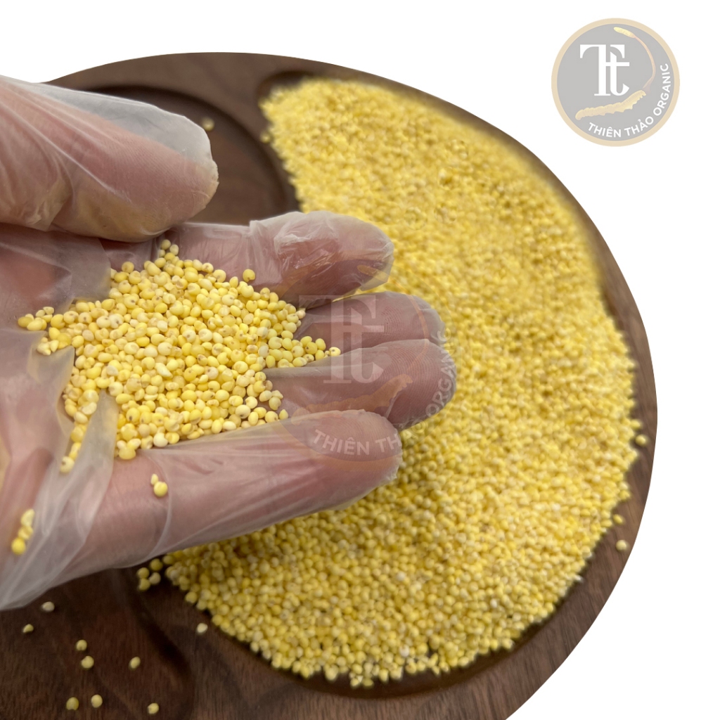 Hạt kê nếp vàng 250g thuần chủng đã tách vỏ thơm ngon tự nhiên nhiều dinh dưỡng, chất xơ, protein Thiên Thảo Organic