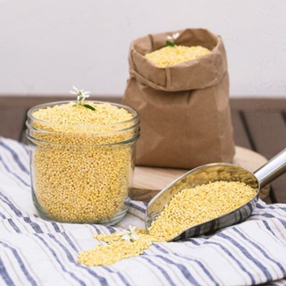  1kg Hạt kê nếp vàng thuần chủng đã tách vỏ thơm ngon tự nhiên nhiều dinh dưỡng chất xơ protein Thiên Thảo Organic 