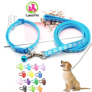Dây dắt kèm vòng cổ cho thú cưng 120cm Luna Pet DD04