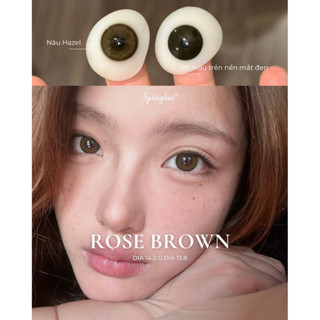 Lens nâu ROSE BROWN nâu hazel cam ngọt viền nhẹ có giãn | Kính áp tròng Springlens