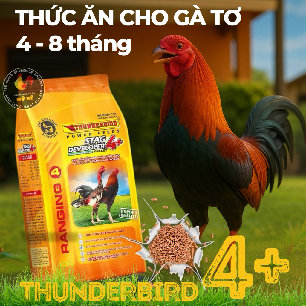 Thức ăn gà đá từ 4 tháng tuổi Thunderbird Developer 4+ túi 1kg