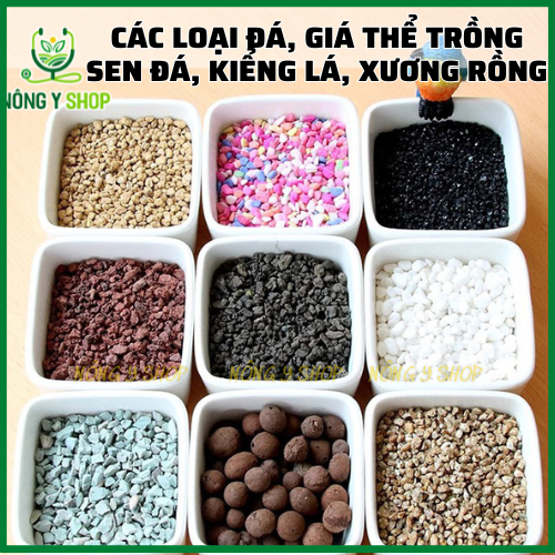 Túi 1kg đất kiểng lá Sfarm, Pumice, Masato, Akadama, Đá Cầu Vồng, Đất Nung, Lava, xương rồng, sen đá