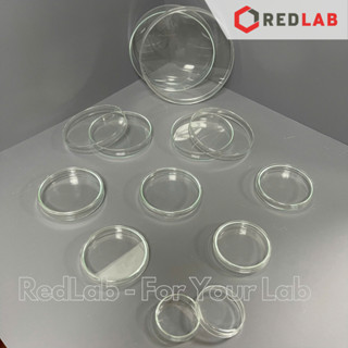 Cặp Đĩa petri thủy tinh nhiều kích thước 60x15mm, 80x15mm, 90x15mm, 100x15mm, 100x20mm, 120x20mm, 150x25mm
