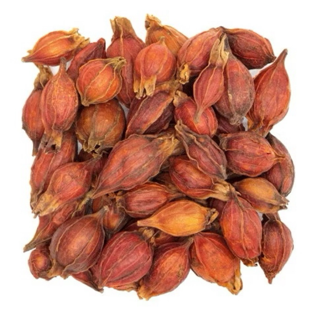 Hạt Dành Dành, Hạt Chi Tử khô 100gram/500gram