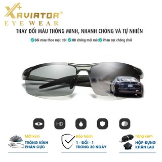Kính Mát Nam AVIATOR 8177 – Đổi Màu Tự Động, Phân Cực Chống Chói, Gọng Nhôm Magiê