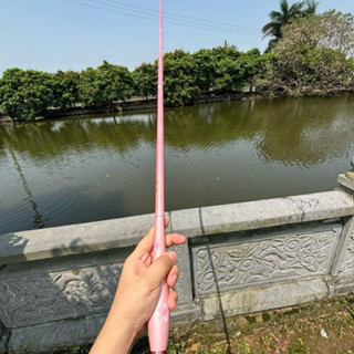  Cần Câu Tay Hoa Anh Đào độ cứng 4H  Hồng Các Lóng cho anh em Mạnh Mẽ. 