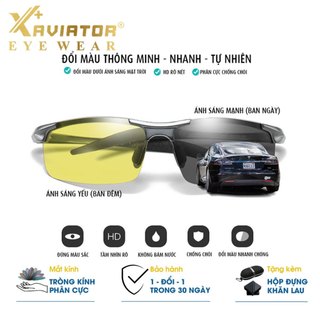 Kính Mát Nam AVIATOR 8177 – Đổi Màu Tự Động, Phân Cực Chống Chói, Gọng Nhôm Magiê