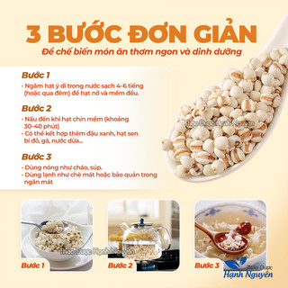 Hạt y dĩ 100g, ý dĩ nếp, hạt bo bo, thơm, bùi, dùng nấu cháo, chè, hầm gà, pha trà, làm bánh