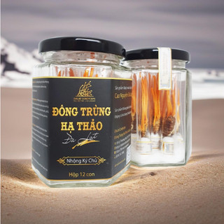 Nấm đông trùng hạ thảo khô sấy thăng hoa Con Nhộng Ký Chủ chất lượng thượng hạng lọ 12 con