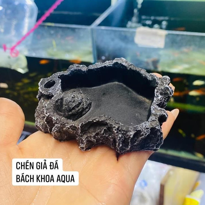 Chén đá đựng thức ăn cá tép – chén đá tự nhiên, dễ vệ sinh, giữ thức ăn không trôi, phụ kiện hồ cá thủy sinh