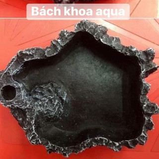 Chén đá đựng thức ăn cá tép – chén đá tự nhiên, dễ vệ sinh, giữ thức ăn không trôi, phụ kiện hồ cá thủy sinh