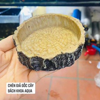 Chén đá đựng thức ăn cá tép – chén đá tự nhiên, dễ vệ sinh, giữ thức ăn không trôi, phụ kiện hồ cá thủy sinh