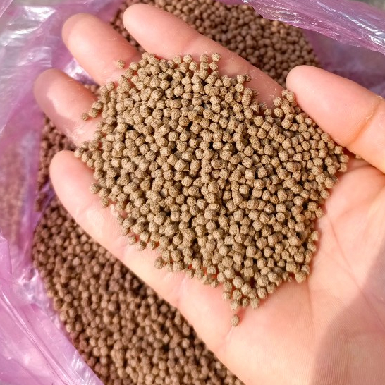 20G Cám Rùa Nước,Cá Cảnh Chất Lượng Cao,Kích Màu,Kích Size
