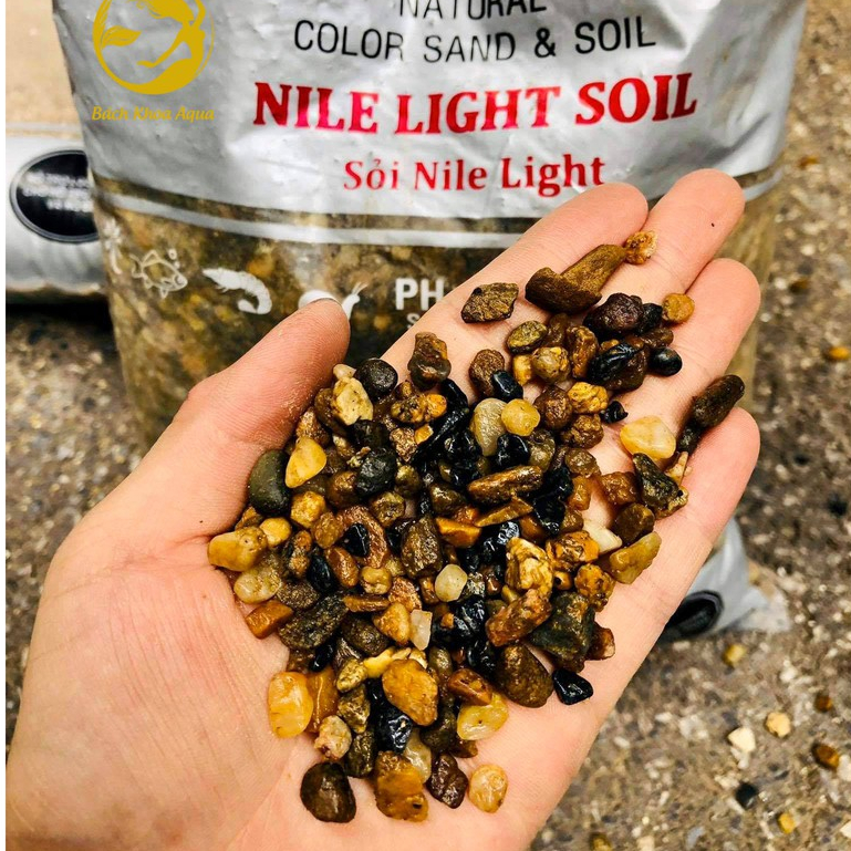 Sỏi Nile Light – N.M.F – sỏi trang trí bể cá, hồ thủy sinh, màu sáng đẹp, không ảnh hưởng nước, dễ vệ sinh