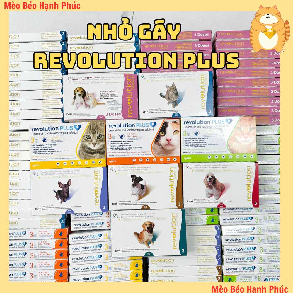 Nhỏ Gáy Revolution Cho Mèo Ngăn Ngừa Ve, Rận&Bọ Chét (Có Thể Dùng Cho Mèo Bầu)