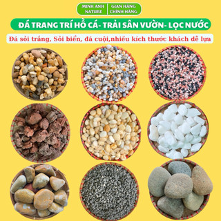  Đá Sỏi Trang Trí 1kg - Cho Bể Cá Chậu Cây Cuội Trải Sân Vườn Sỏi Biển Sỏi Trắng Lọc Nước 