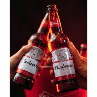  Bia Budweiser 5% – Thùng 24 Chai 330ml 