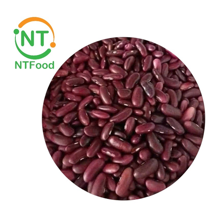 Đậu Đỏ Tây NTFood túi 500gr - Nhât Tín Food