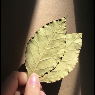 Lá Nguyệt Quế (Bay Leaf) 100g