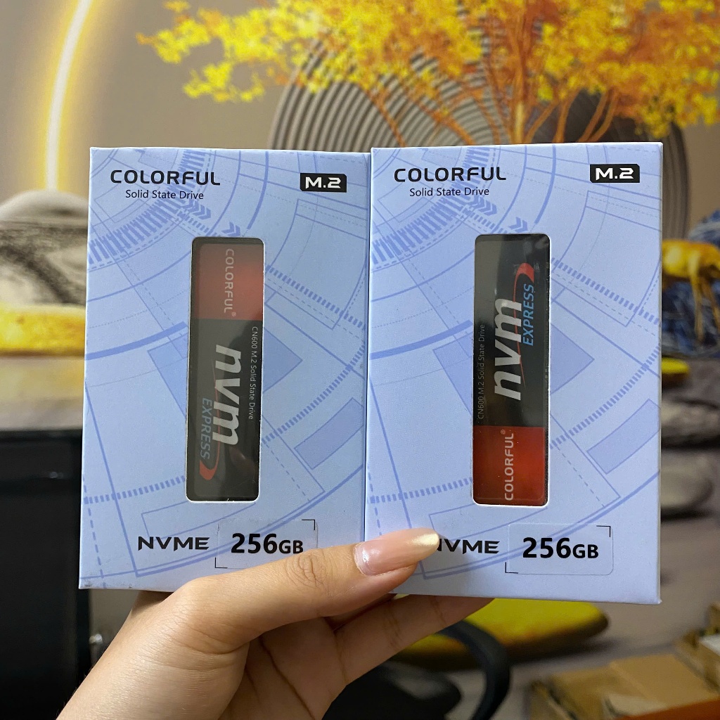 Ổ cứng SSD Colorful CN600 256GB 512GB M.2 NVMe, tốc độ đọc 3000MB/s ghi 1000MB/s