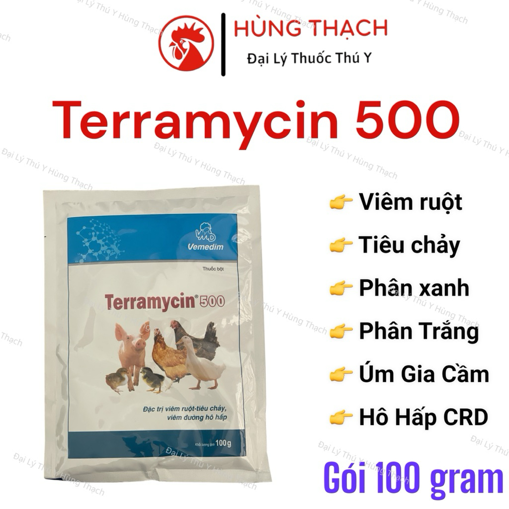 Terramycin 500  (100gr) kiểm soát tiêu chảy, viêm ruột, phân xanh - trắng, CRD cho gà, vịt, heo, cút
