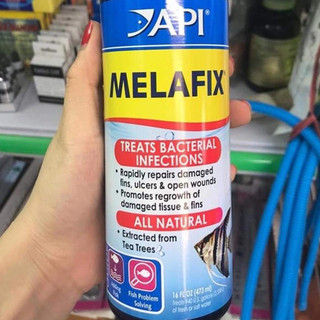 API Melafix chính hãng 118ml / 237ml / 473ml cho cá