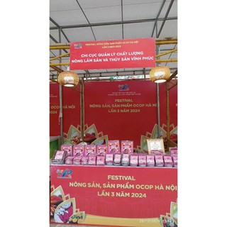 Mỳ Thanh Long hữu cơ( Organic dragon fruit noodles) hộp 1kg