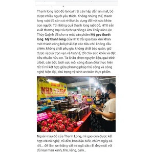 Mỳ Thanh Long hữu cơ( Organic dragon fruit noodles) hộp 1kg