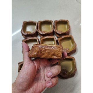 Máng giả đá 1