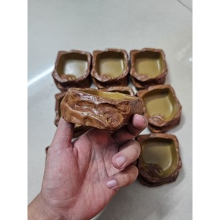 Máng giả đá 1