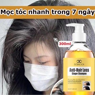 Dầu gừng chống rụng tóc 300ml dầu gội kiểm soát dầu nhanh Kích thích dầu gội mọc tóc để làm dày tóc và thúc đẩy sự phát
