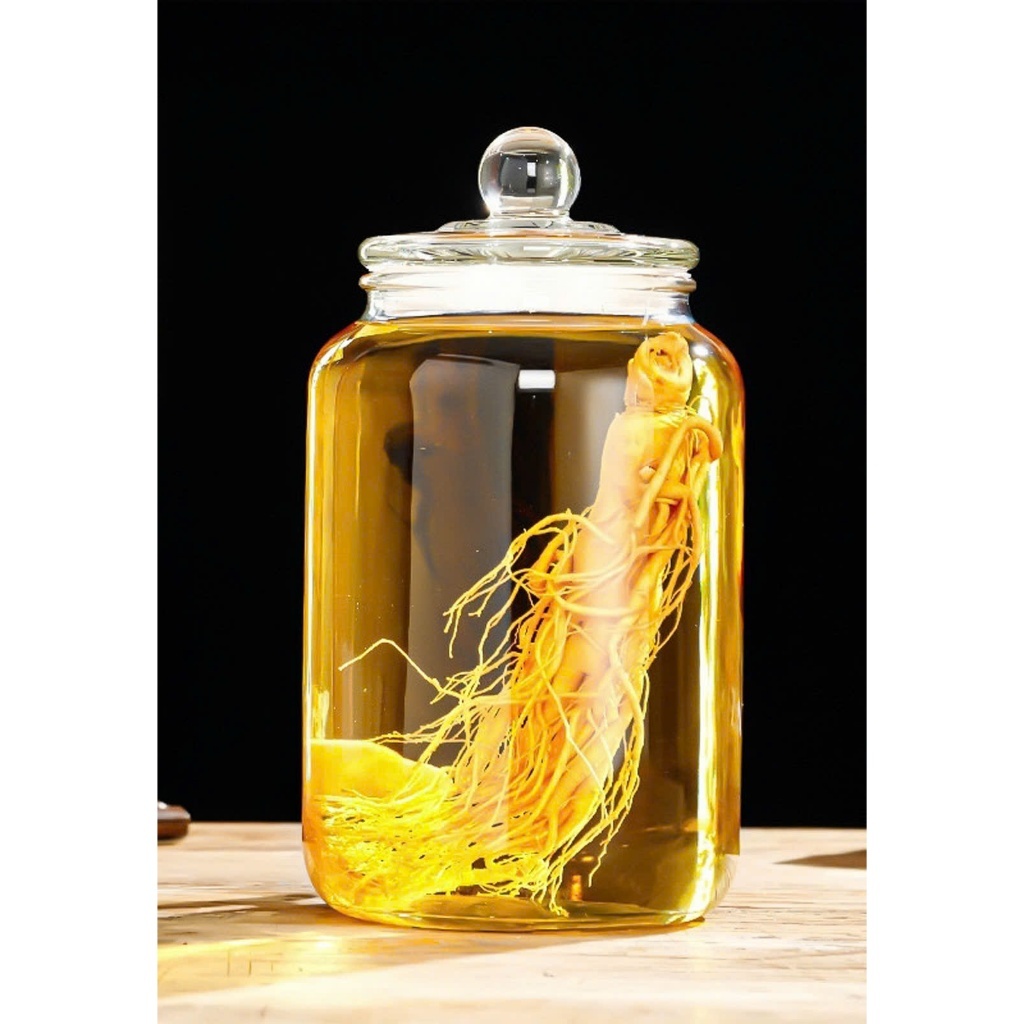 Bình Thủy Tinh Ngâm Rượu , Ngâm sâm Tròn Lùn Nắp Thủy Tinh Cao Cấp( 3L 5L 8L 10L)
