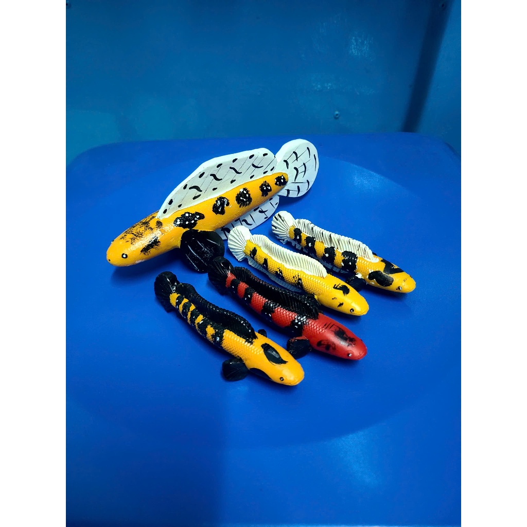 Kè cá lóc 11cm và 18cm - giúp cá quẩy sung hơn