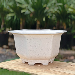 [Có sỉ] Chậu nhựa trồng cây Lục Giác Mai giả đá TRẮNG, nhiều kích thước, dày dặn