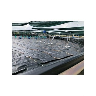 [Bạt lót hồ chống thấm rộng 6m - dầy 0.3mm - Bán theo mét Dài ] bạt lót hồ HDPE, Bạt lót bể,ao, Khổ 6m độ dầy 0.3mm