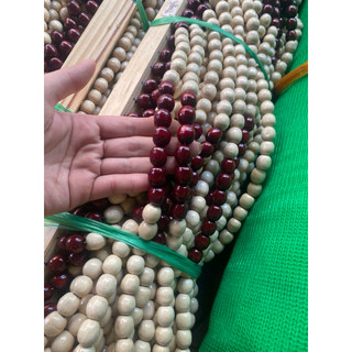 Mành gỗ hạt tròn( loại mau dày)